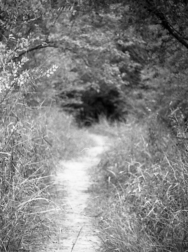 Into the Unknown