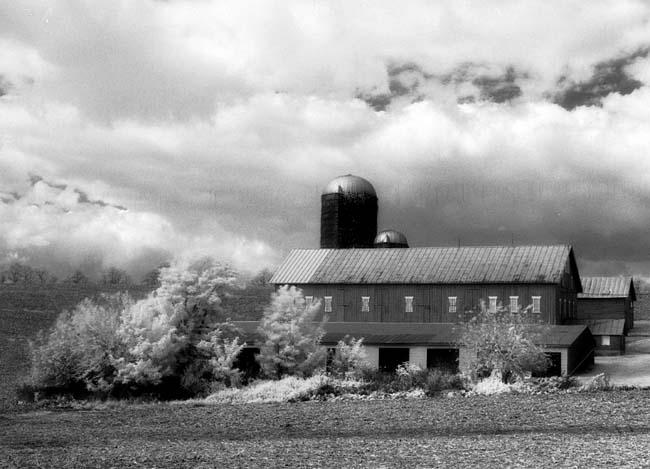IR   Barn
