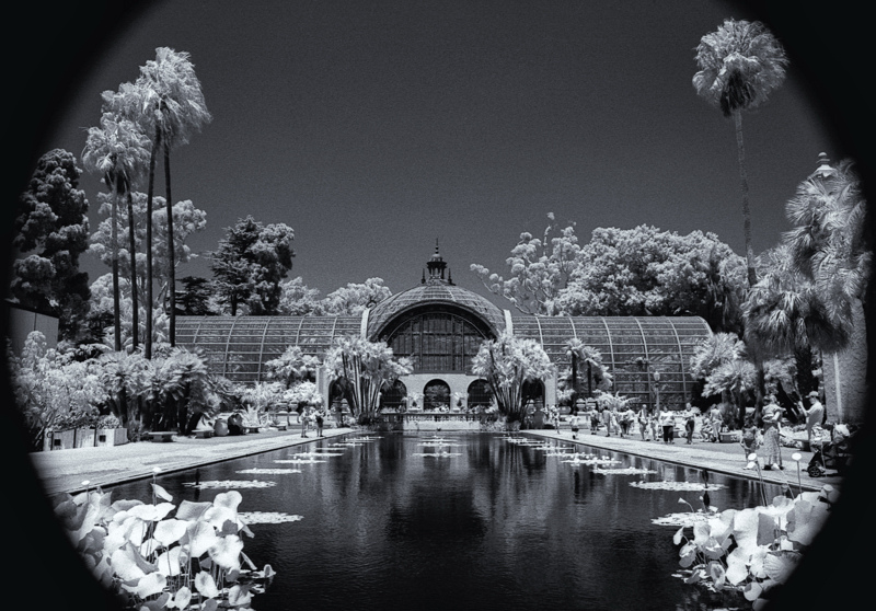 ir garden