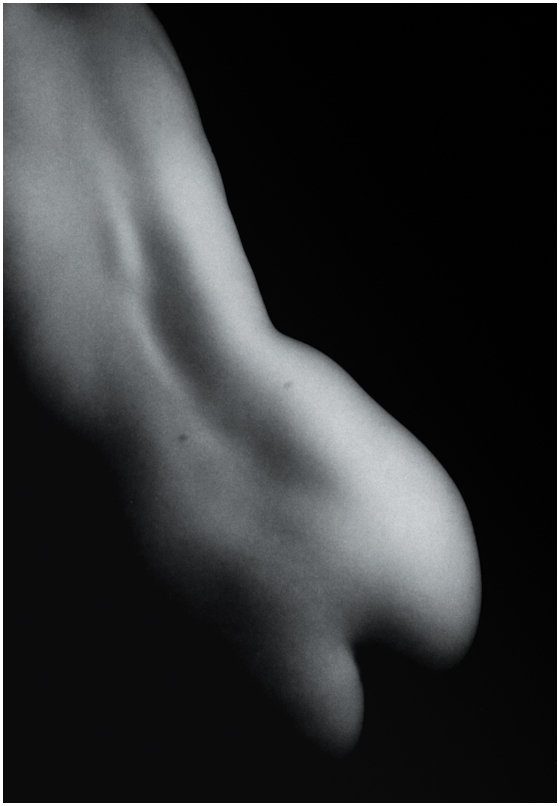 IR study nude
