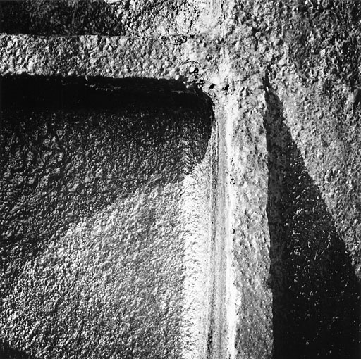 Iron