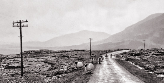 Isle of Mull
