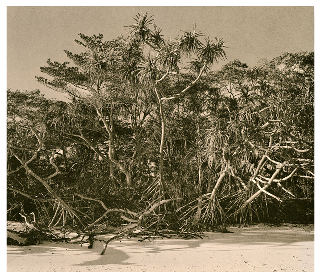 Isle Of Pines