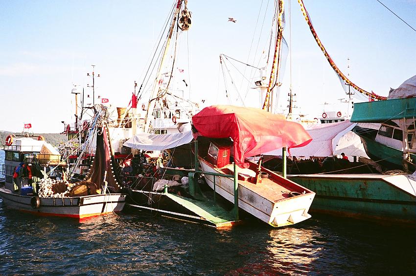 Istanbul - Bosphorus