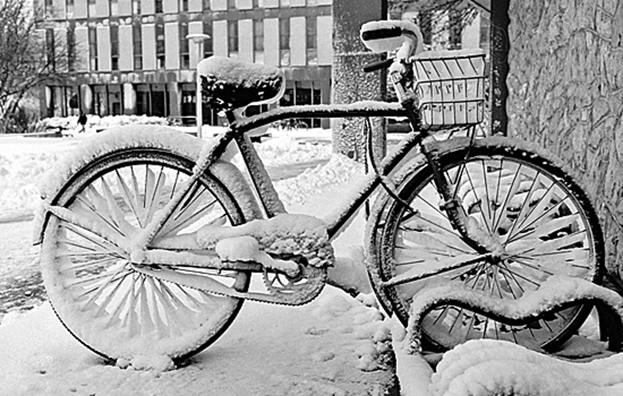 It's Winter