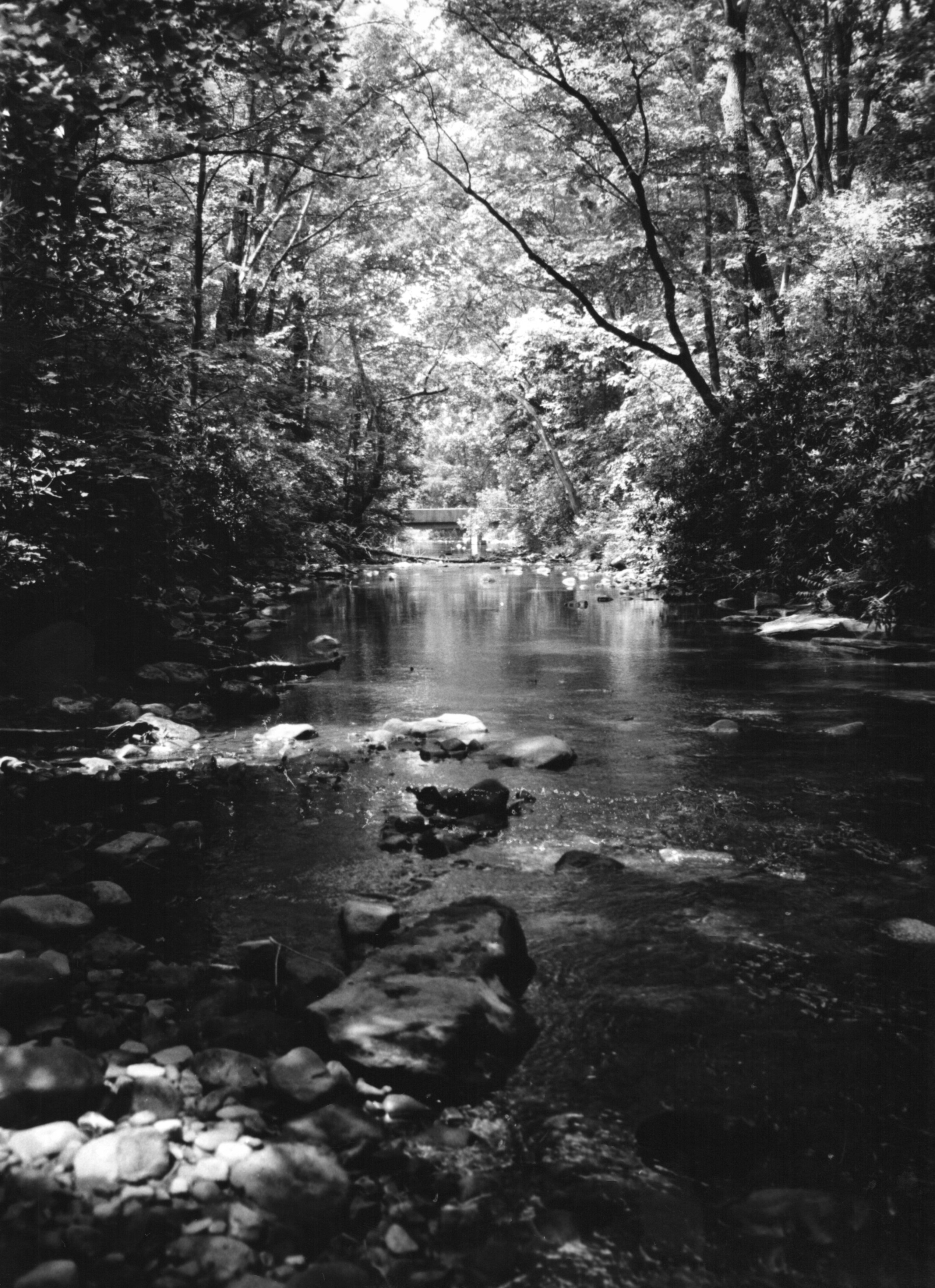 Jacobs Creek.jpg