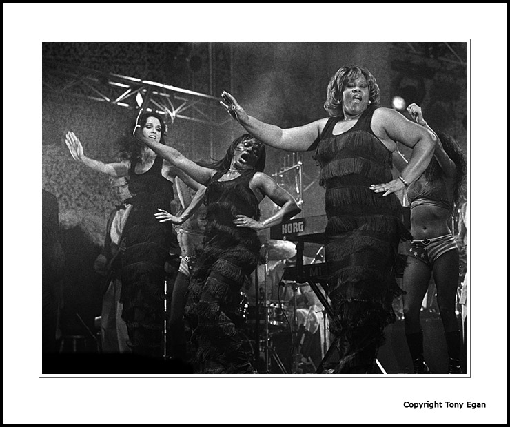 James Brown Singers