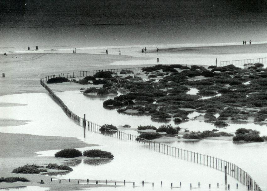 Jandia Beach