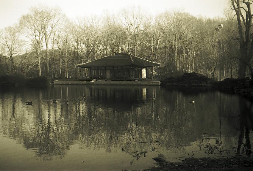 Japanese Garden