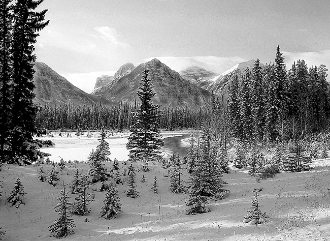 Jasper-Parkway