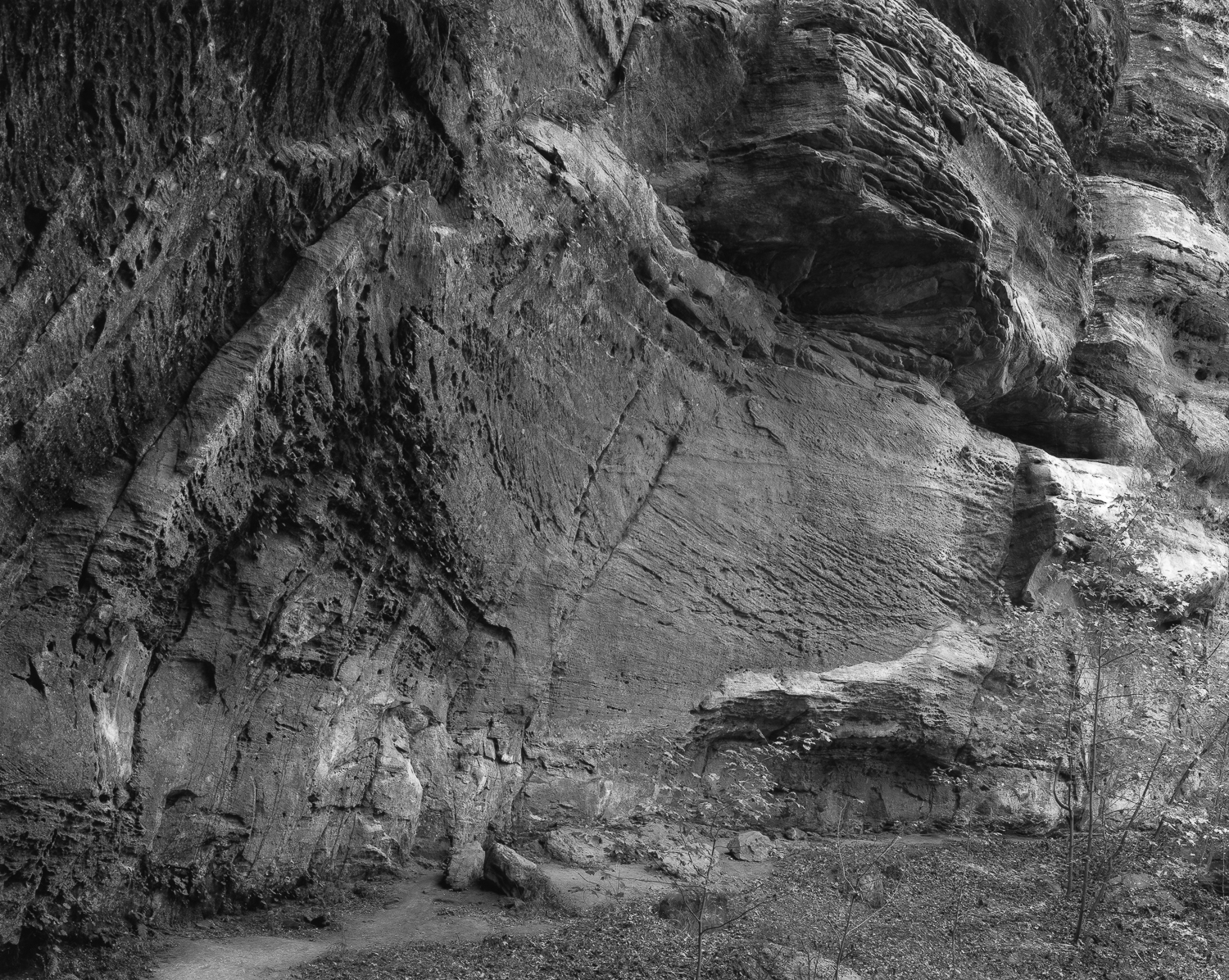 Jeffreys Cliffs Lower Trail #1 (1500L)_8.jpg