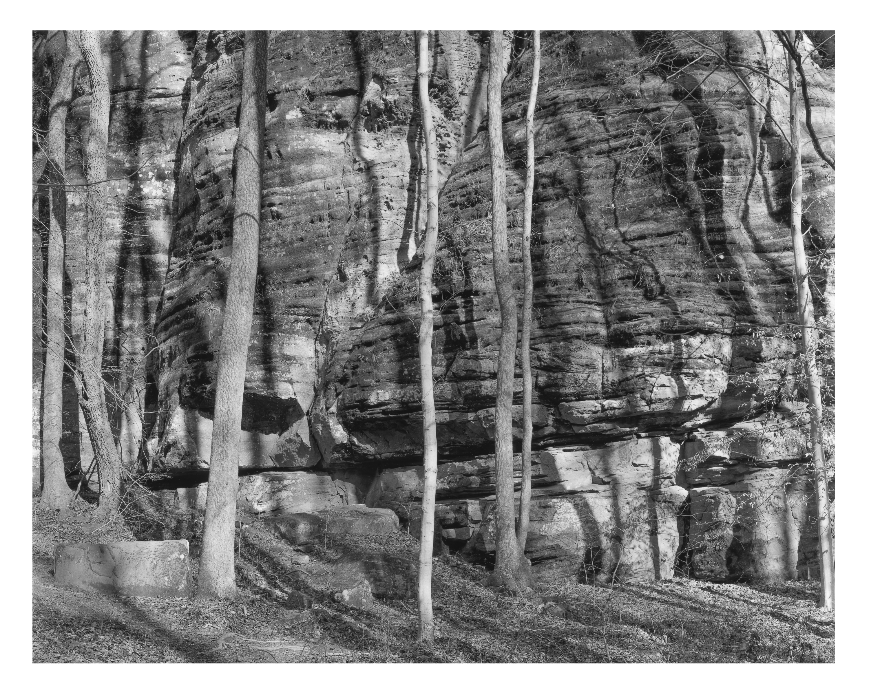 Jeffreys Cliffs Lower Trail South