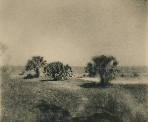 Jekyll Island Trio