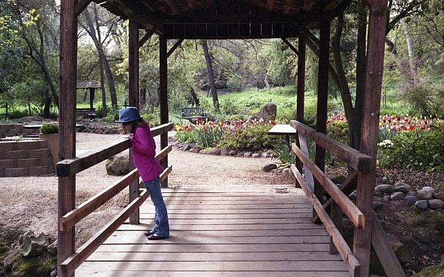 Jensen Memorial Garden
