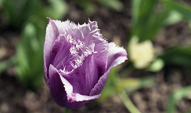 Jensen Memorial Garden