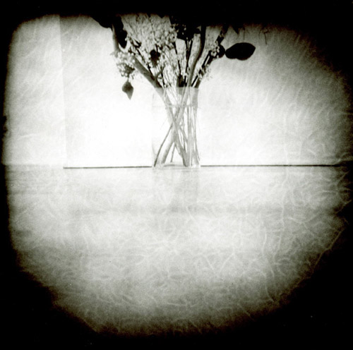 jerry's flowers