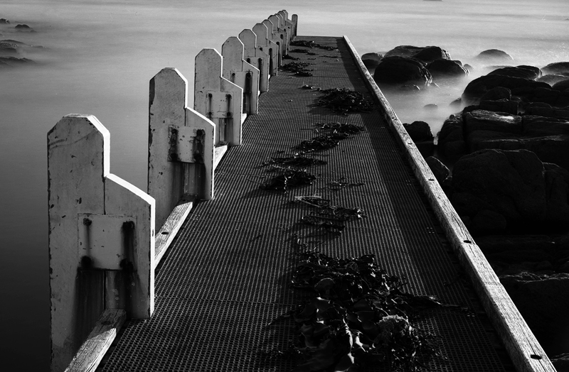 Jetty and weed.