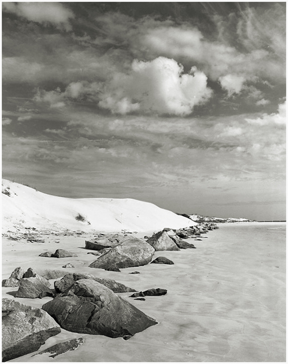 Jetty Rocks And Dune