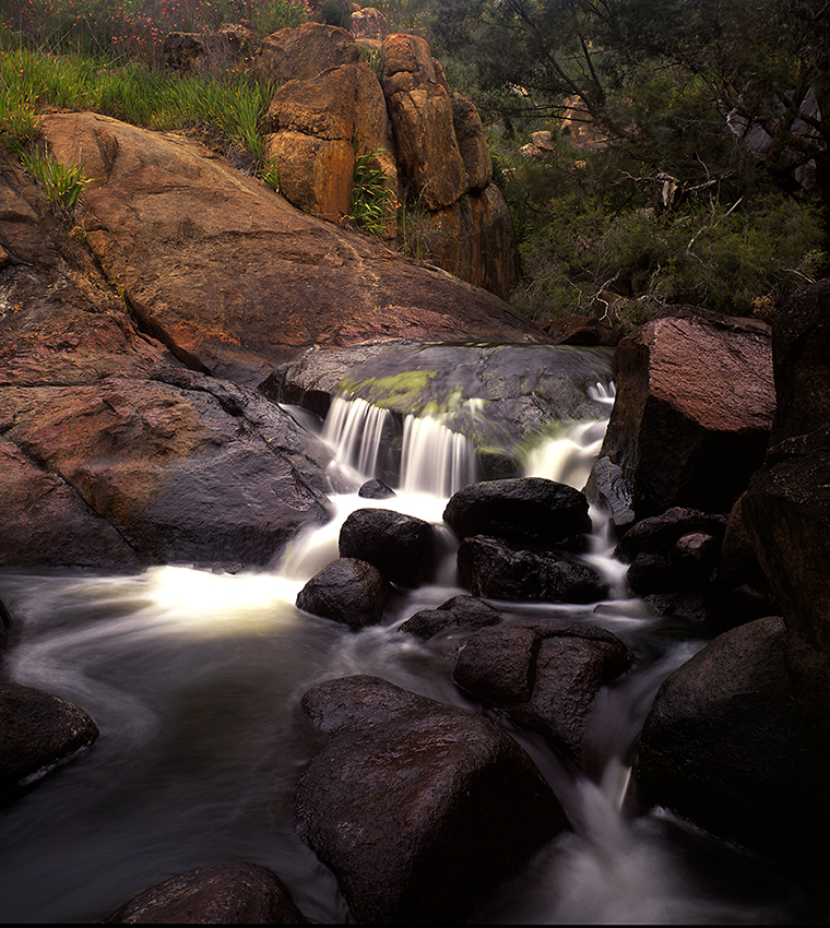 John forrest 2
