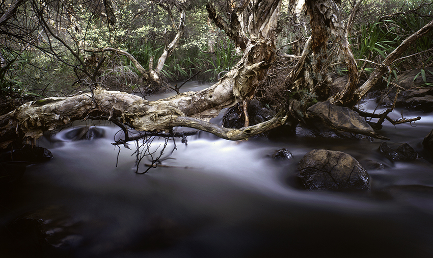 John Forrest