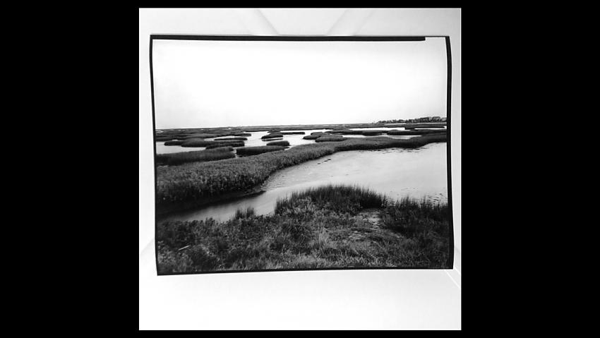 jones bay, galveston texas