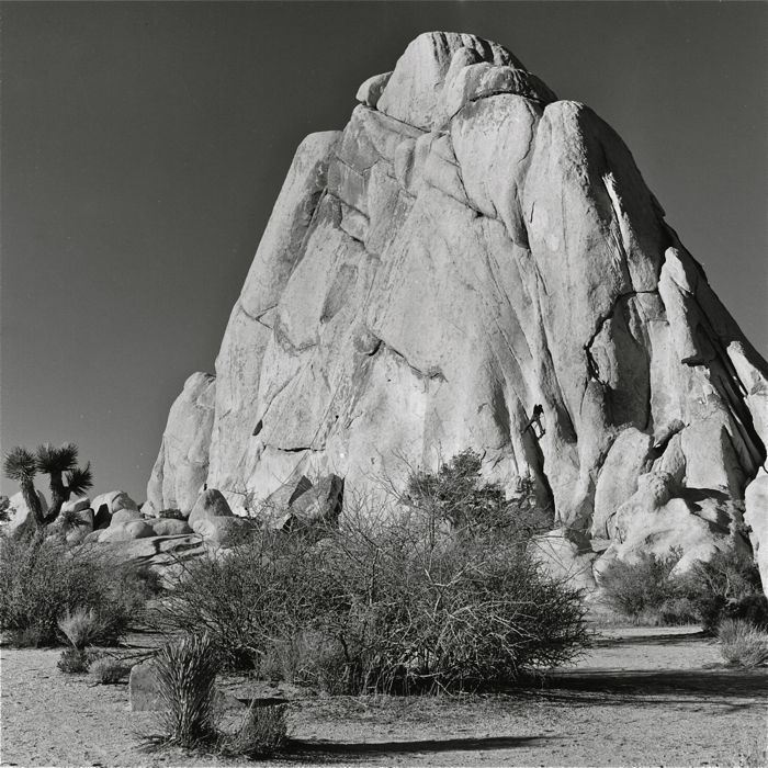 Joshua Tree - Climber