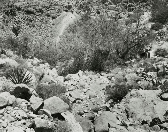 Joshua Tree National Park, 2007