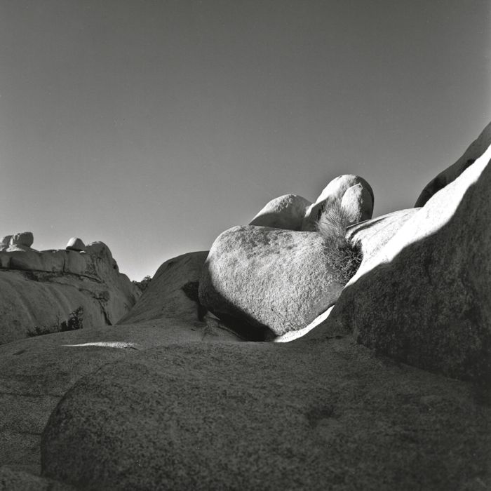 Joshua Tree - Skate Park ?