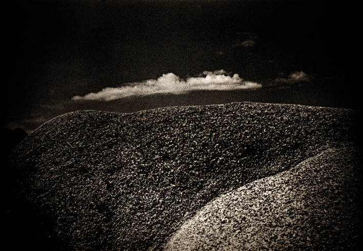 Joshua Tree