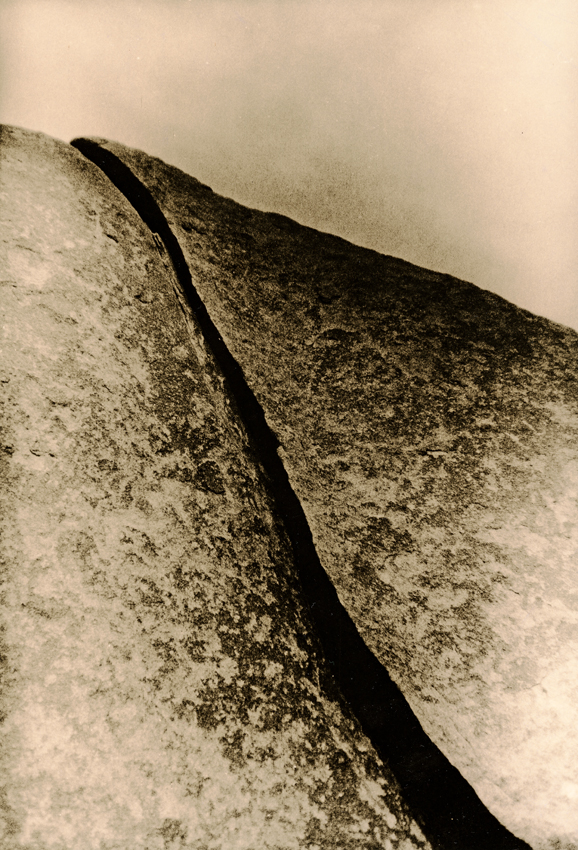 Joshua Tree
