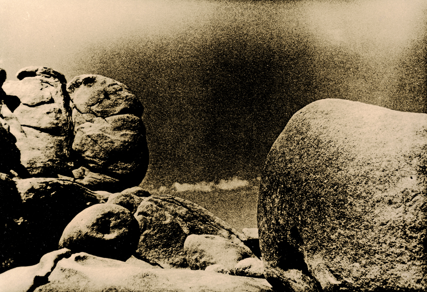 Joshua Tree