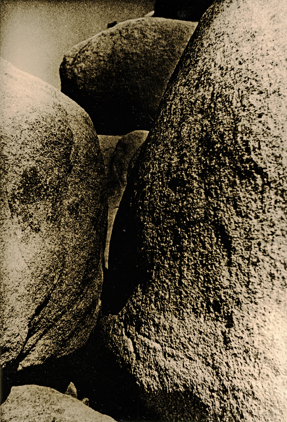 Joshua Tree