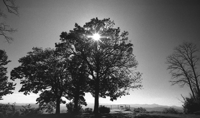 Jump Off Towards the Sun