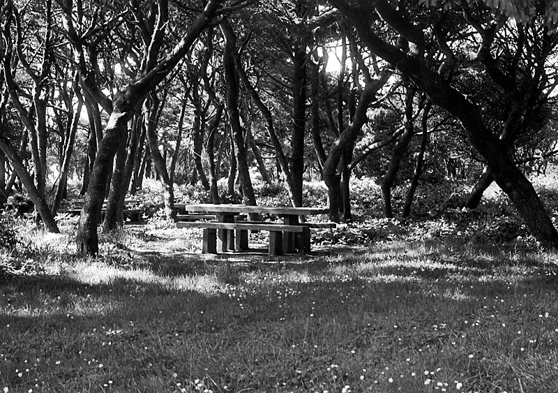 Just another test shot