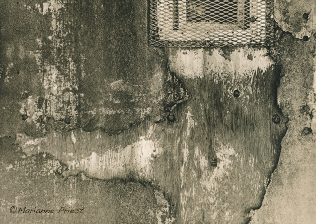 kalkaska texture 1