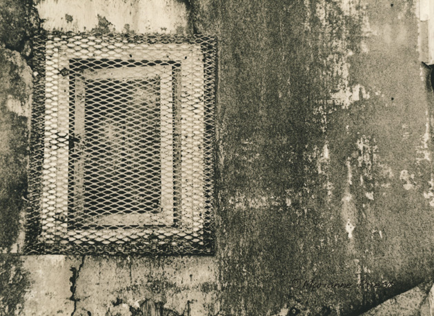 kalkaska texture 2