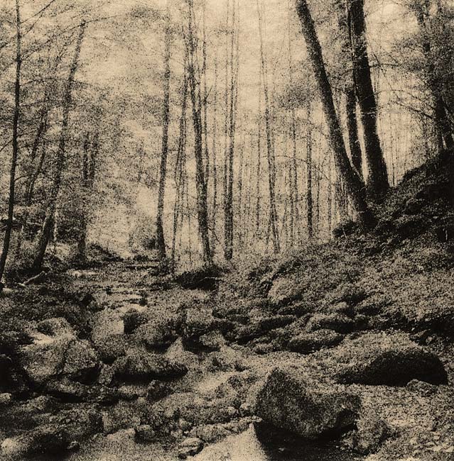 Kaltbrunnental #2 Kentmere Lith