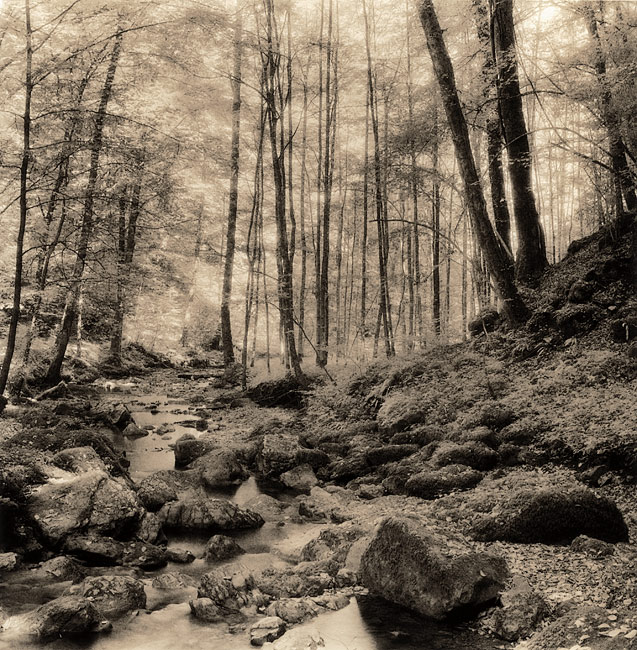 Kaltbrunnental #2 Varycon Lith