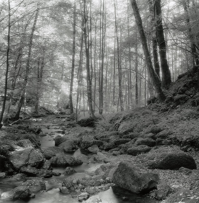 Kaltbrunnental #2