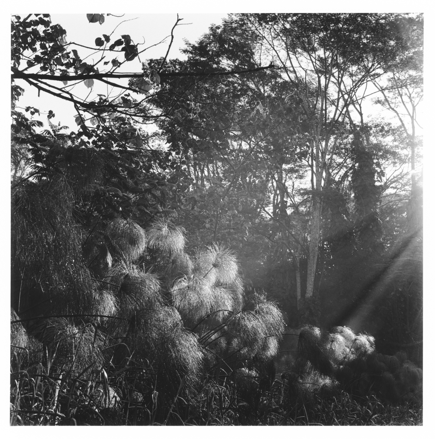 Kaua`i - February 2025