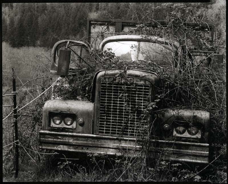 Keller Creek, Oregon Coast Range