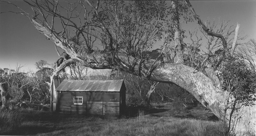 Kelly Hut