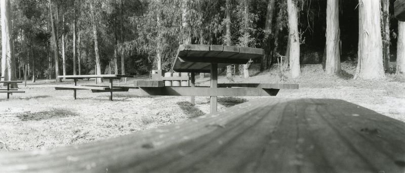 Kenndy Grove picnic area