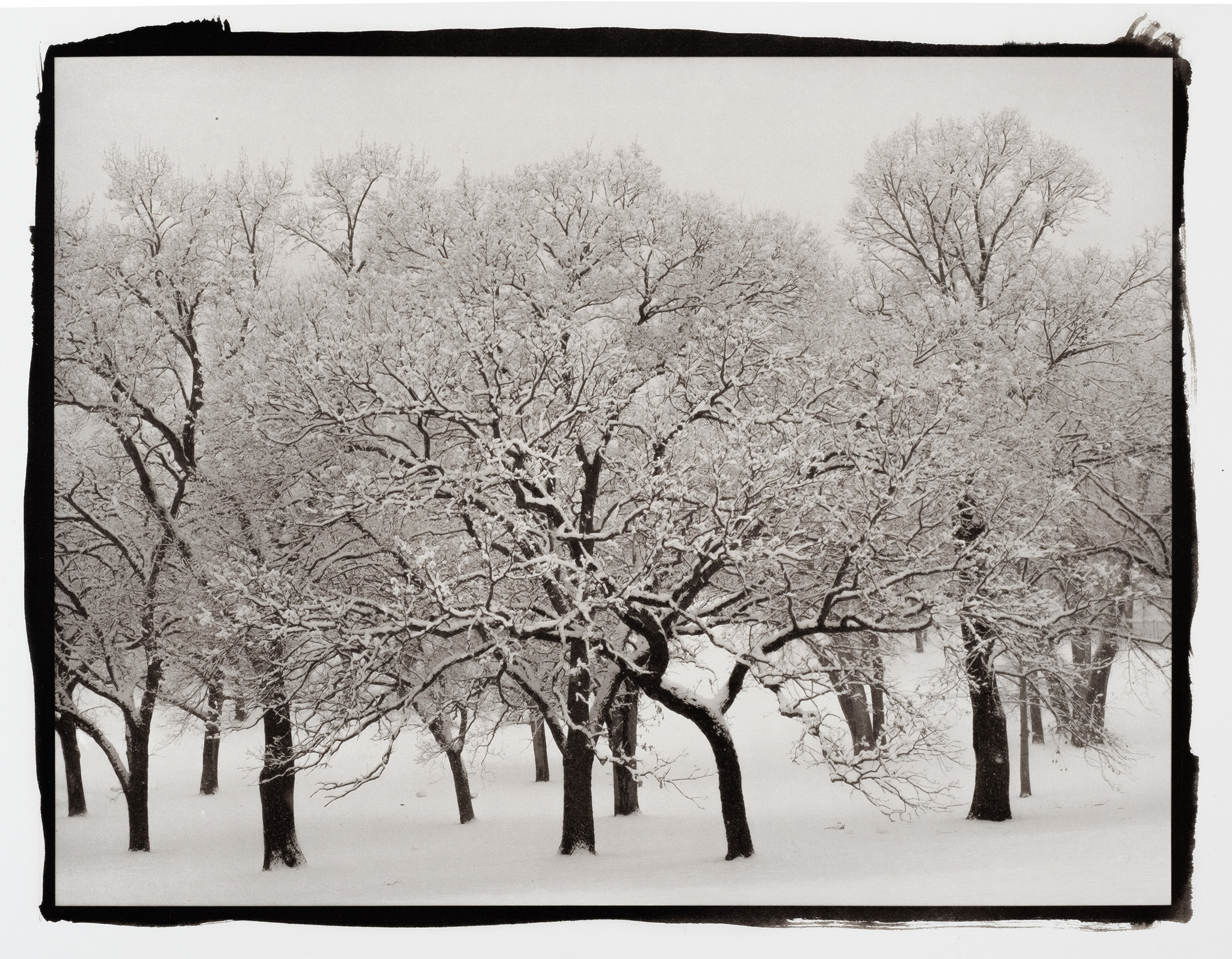 Kenwood Park