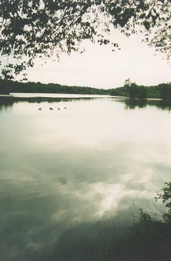 Killens Pond