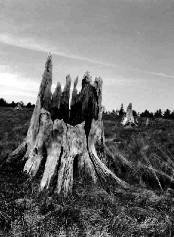 Kingston Plains 1 (Photostock)