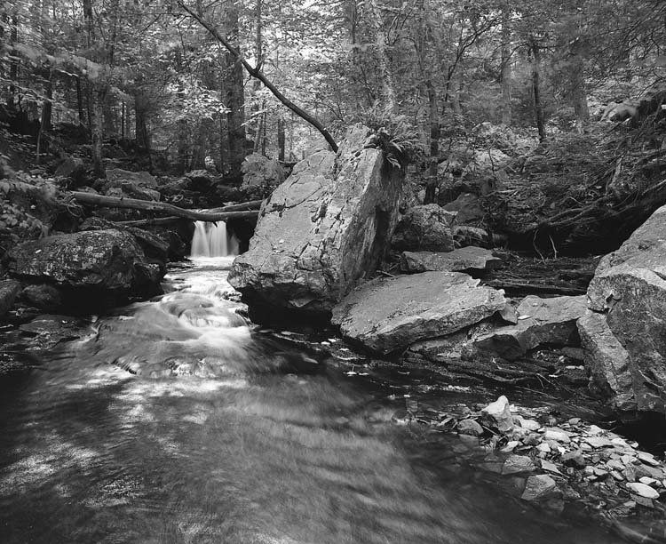 Kitchen Creek