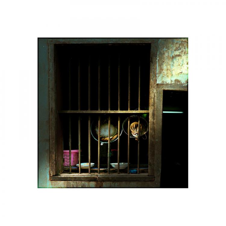 Kitchen Window