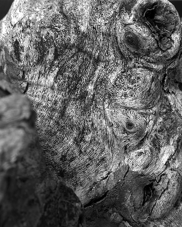 Knotty...