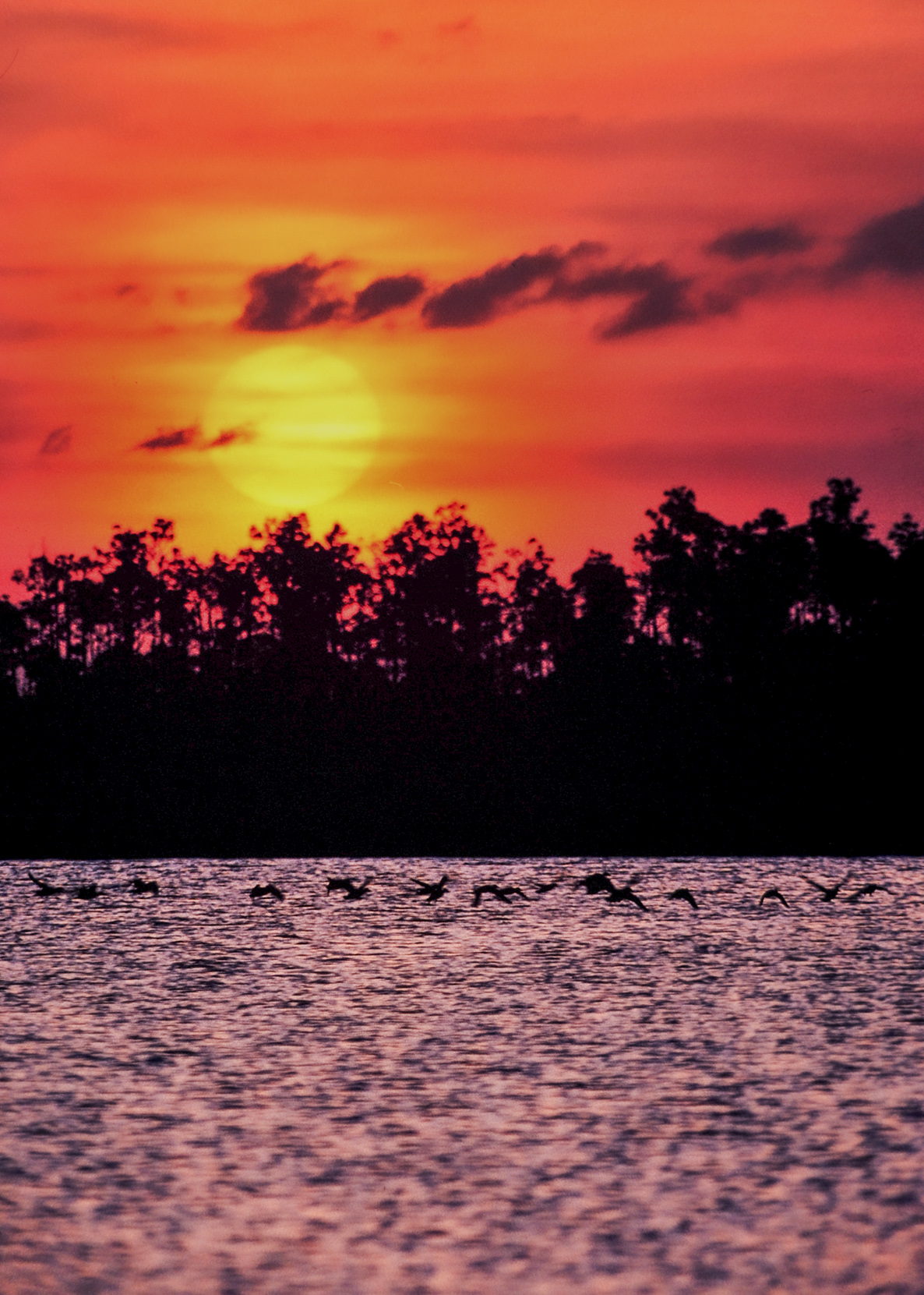 Kodachrome 25 Sunset II